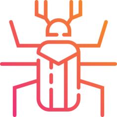 Bug