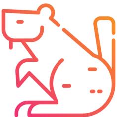 Beaver