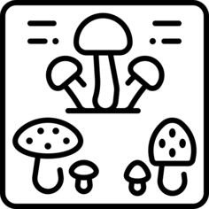 蘑菇