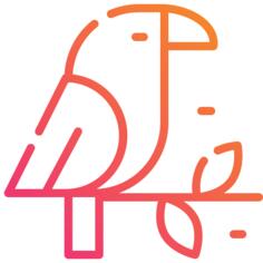 鹦鹉