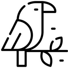 鹦鹉