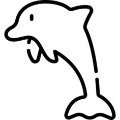 Dolphin