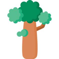 Baobab