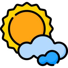 Sunny