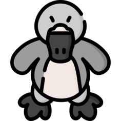 鸭嘴兽