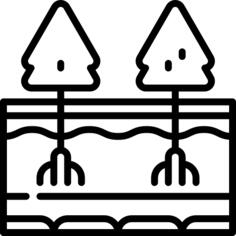 Soil