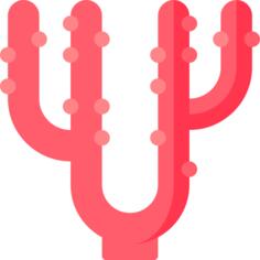 Coral