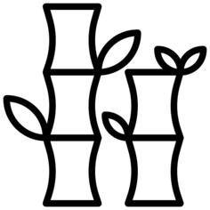 Bamboo