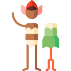 Costume
