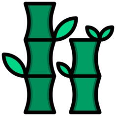 Bamboo
