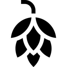 Hop