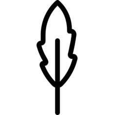 Feather