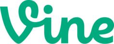 https://cdn.svgporn.com/logos/vine.svg
