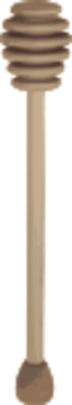 Honey stick vector image