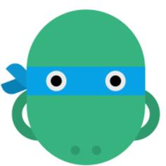 Ninja turtle head