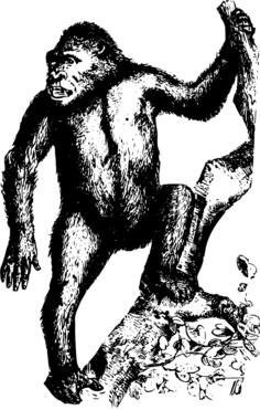 Gorilla in vintage style