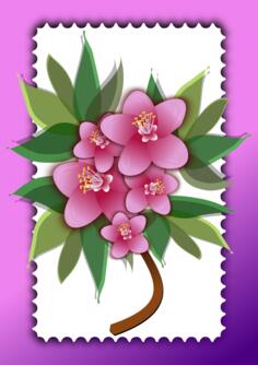 Pink flowers vector image