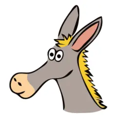 Donkey portrait