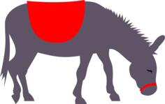 Colorful pasturing donkey