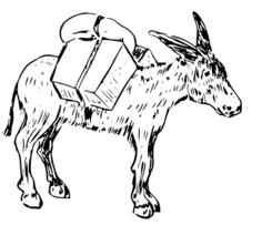 Donkey with luggage