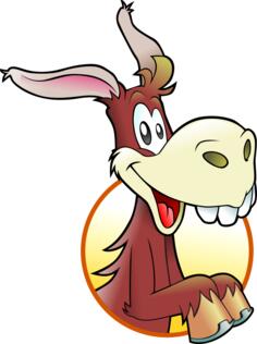Happy donkey