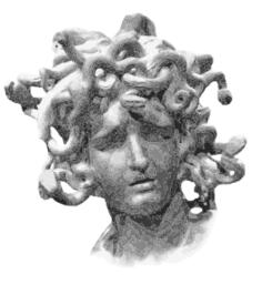 Medusa's head