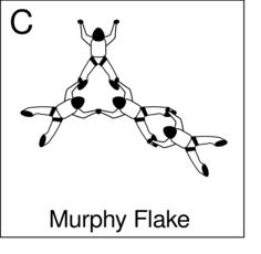 Murphy Flake card