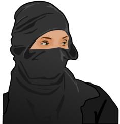Lady ninja vector image
