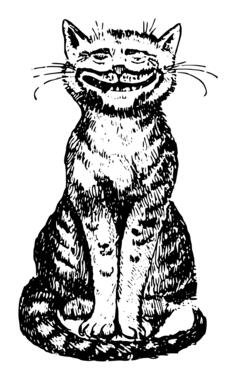 Cat grins