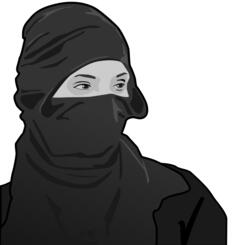 Lady ninja