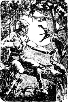 Man fights snake