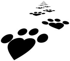 Heart paws