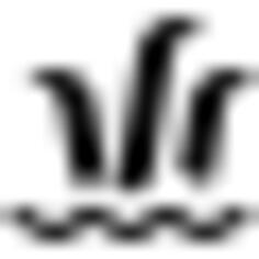 Shore symbol