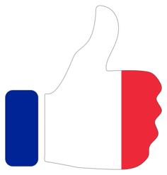 Thumbs up with French flag