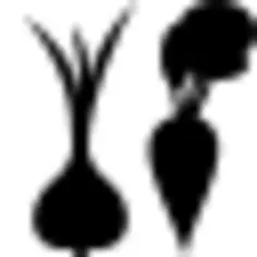 Vegetables vector silhouette