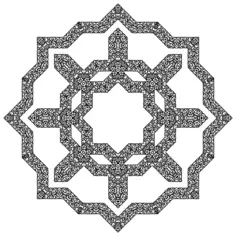 Starry and flowery frame