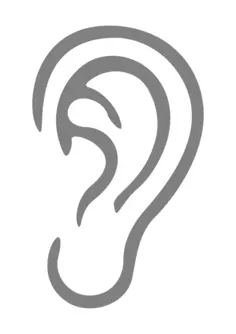Gray ear illustration
