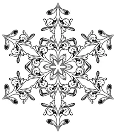Floral snowflake vector image