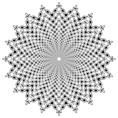 Floral mandala vector image