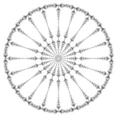 Ornamental floral circle