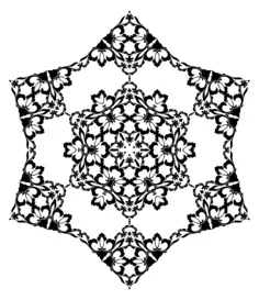 Flourish black and white star