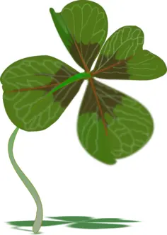Four-leaves clover