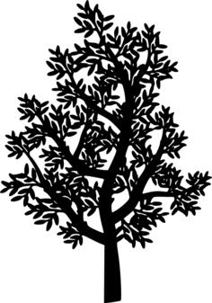 Tree black silhouette