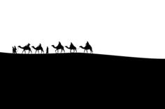 Camel's caravan silhouette
