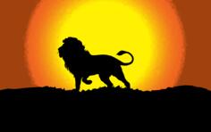 Lion in sunset