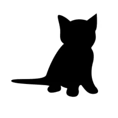 Black kitten vector image