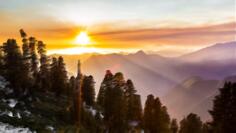 National forest and sunset over it