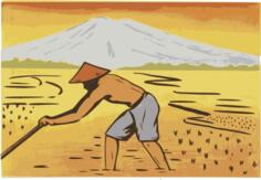 Indonesian rice paddy