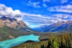 Blue lake in evergreen forest
