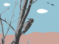 Landscape with woodpecker